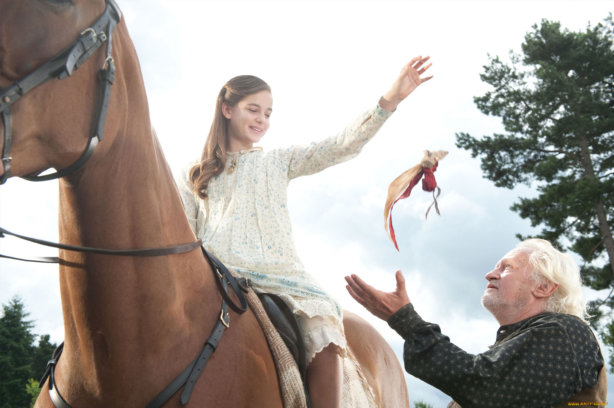 war, horse, , , , 